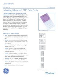 Indicating Whatman™ FTA™ Elute Cards