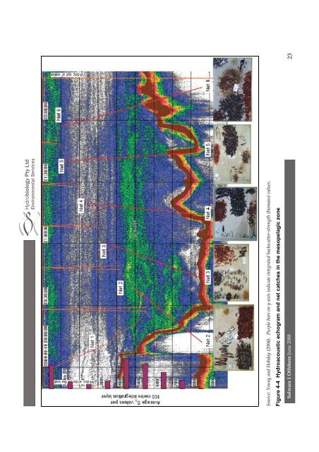 Appendices 5-13 - Nautilus Cares - Nautilus Minerals