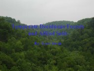 Temperate Deciduous Forests and Alfisol Soils