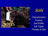 Part 4 Soil.pdf