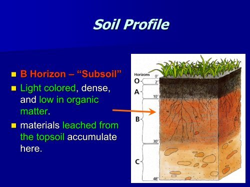 Part 4 Soil.pdf