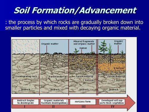 Part 4 Soil.pdf