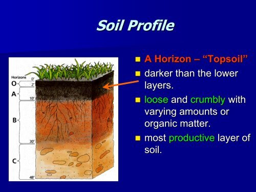 Part 4 Soil.pdf