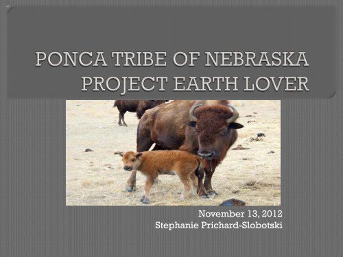 Ponca Tribe of Nebraska - Project Earth Lover - EERE