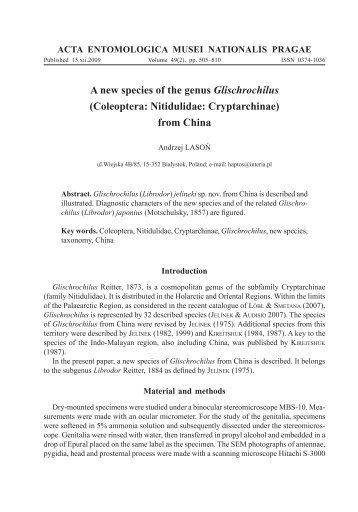 A new species of the genus Glischrochilus - Acta Entomologica ...