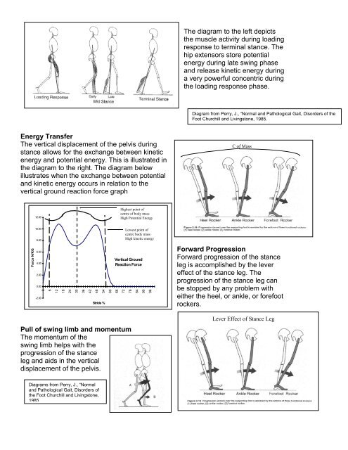 Gait Analysis Handout - painfreefeet.ca