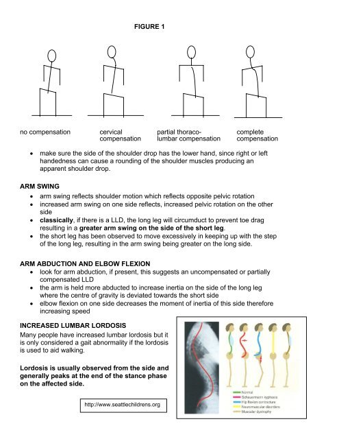 Gait Analysis Handout - painfreefeet.ca