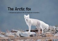 The Fox Weebly 