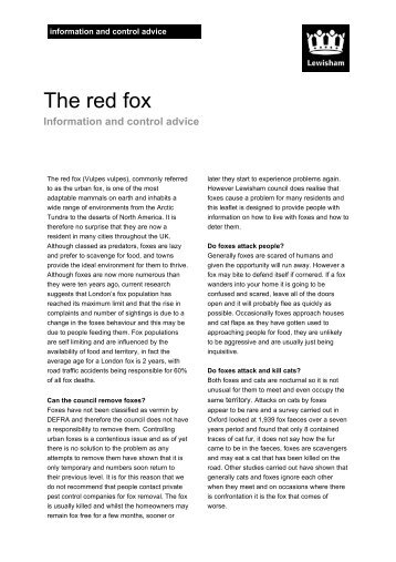 The red fox - London Borough of Lewisham