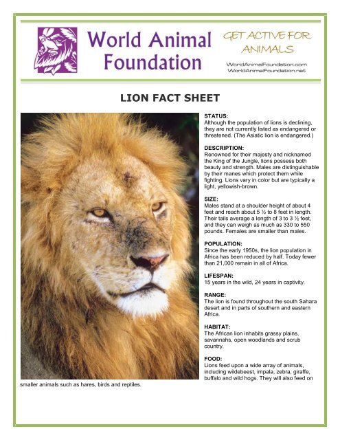 LION FACT SHEET - World Animal Foundation