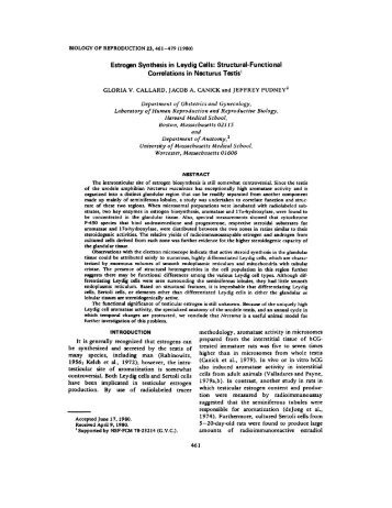 Estrogen Synthesis in Leydig Cells - Biology of Reproduction