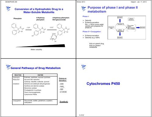 Drug Disposition Overview - Pharmacology and at UCSD