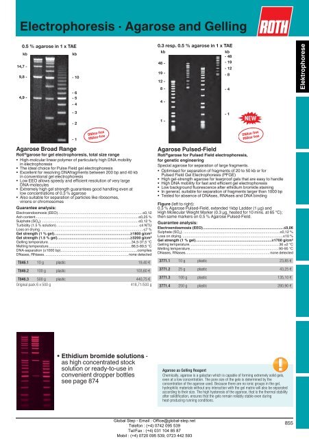 Electrophoresis