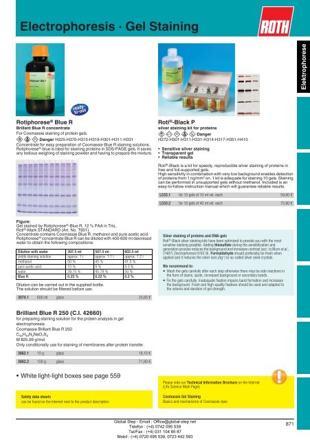 Electrophoresis