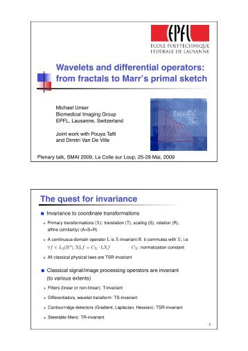 Wavelets and differential operators: from fractals to Marrs primal sketch