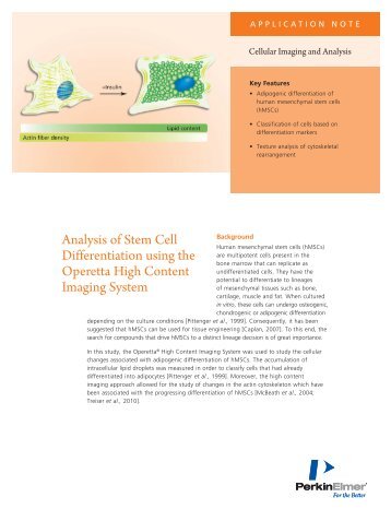 Analysis of Stem Cell Differentiation using the Operetta - PerkinElmer