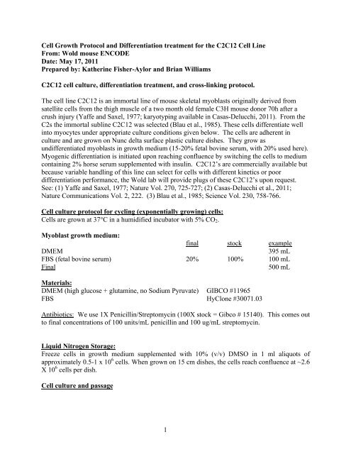 1 Cell Growth Protocol and Differentiation treatment for the C2C12 ...