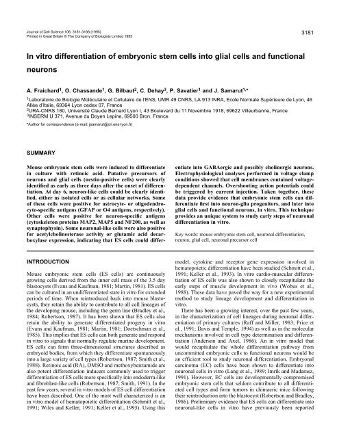 In vitro differentiation of embryonic stem cells into glial cells and ...