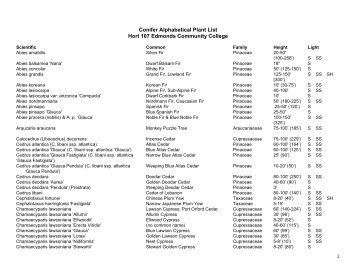 1 Conifer Alphabetical Plant List Hort 107 Edmonds Community ...