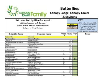 Butterflies - Canopy Tower