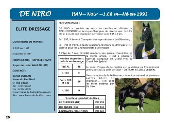 DE NIRO - France Dressage