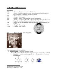 Nucleotides and Nucleic Acids