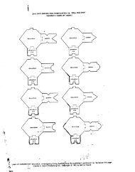 DNA NUCLEOTIDES FOR INVESTIGATION 24, “DNA AND RNA”