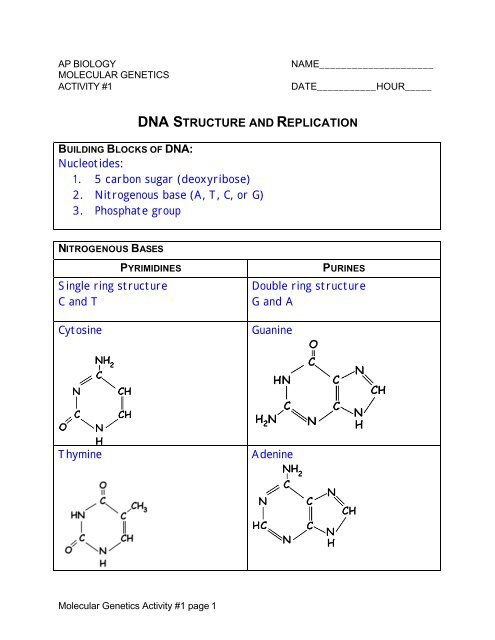 What Are The Nucleotides Of Rna Made Of Quizlet