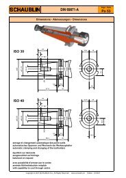 DIN 69871-A - Schaublin SA