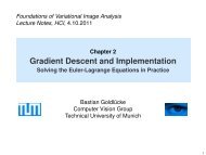 Gradient Descent and Implementation - Solving the Euler-Lagrange ...