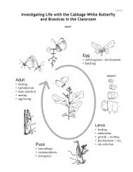 Investigating Life with the Cabbage White Butterfly and ... - Fast Plants