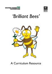 Brilliant Bees Curriculum Resource Pack - Devon Wildlife Trust