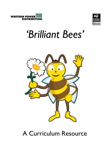 Brilliant Bees Curriculum Resource Pack - Devon Wildlife Trust