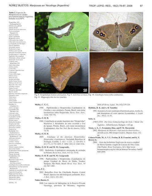 diversidad de mariposas diurnas en la reserva privada yacutinga ...