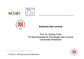 Anatomie des Lernens Prof. Dr. Kristian Folta FS Neurobiologische ...