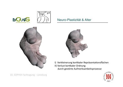 Anatomie des Lernens Prof. Dr. Kristian Folta FS Neurobiologische ...
