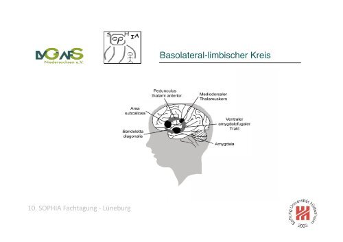 Anatomie des Lernens Prof. Dr. Kristian Folta FS Neurobiologische ...