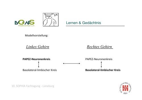 Anatomie des Lernens Prof. Dr. Kristian Folta FS Neurobiologische ...