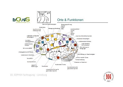 Anatomie des Lernens Prof. Dr. Kristian Folta FS Neurobiologische ...