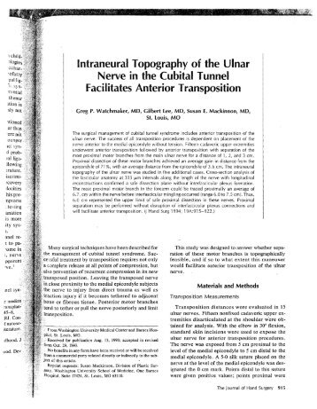 Intraneurai Topography of the Ulnar Nerve in the Cubital Tunnel ...