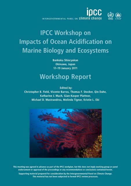 (IPCC) ocean acidification workshop report