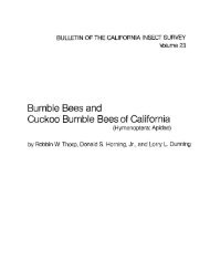 Bumble Bees and Cuckoo Bumble Bees of California