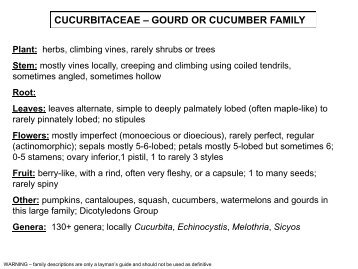 CUCURBITACEAE – GOURD OR CUCUMBER FAMILY - Flora by Max