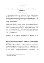 Protection of Fundamental Rights through the Court of - Faculty of Law