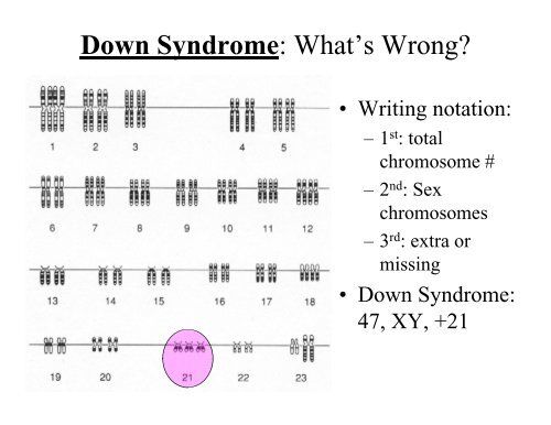 Chromosomes PowerPoint 2009-2010