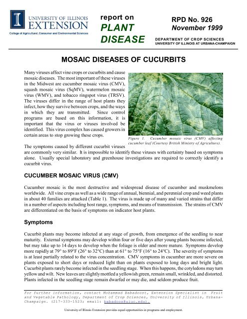 Mosaic Diseases of Cucurbits - Integrated Pest Management at the ...