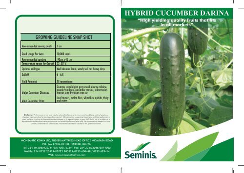 Hybrid Cucumber Darina - Monsanto Africa