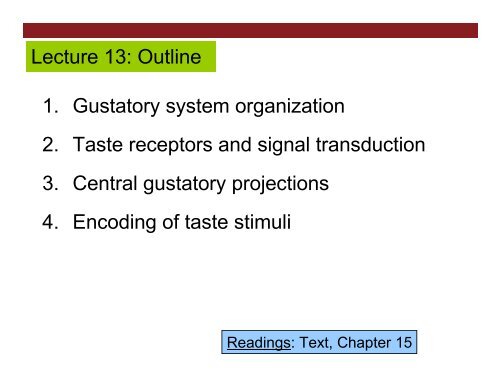 Lecture 13: Outline 1. Gustatory system organization 2. Taste ...