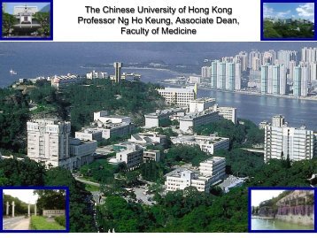 The Chinese University of Hong Kong Professor Ng Ho Keung ...
