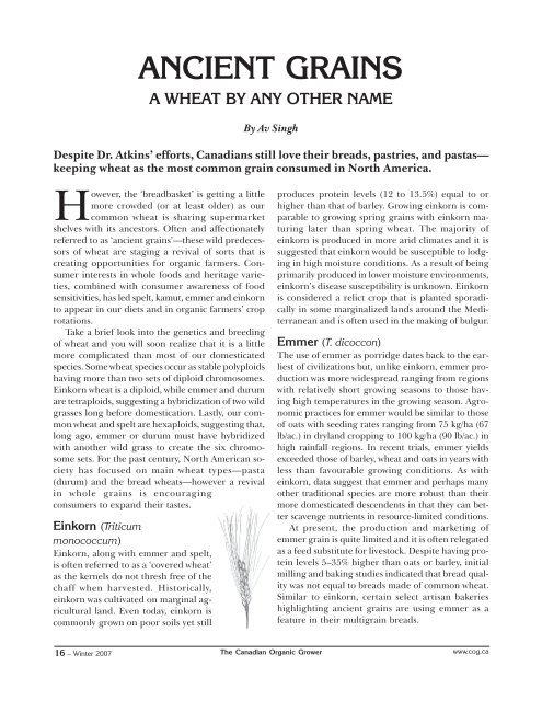 ANCIENT GRAINS - Canadian Organic Growers